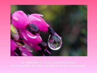 La infelicidad no es un problema técnico,
es el resultado de haber tomado el camino equivocado.
 