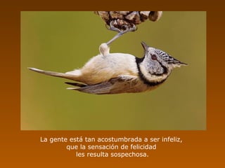 La gente está tan acostumbrada a ser infeliz,
        que la sensación de felicidad
           les resulta sospechosa.
 