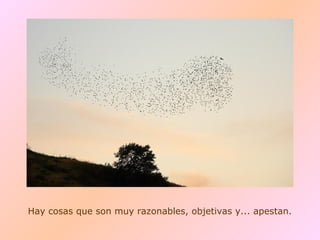 Hay cosas que son muy razonables, objetivas y... apestan.
 