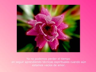 Ya no podemos perder el tiempo
en seguir aprendiendo técnicas espirituales cuando aún
               estamos vacíos de amor.
 