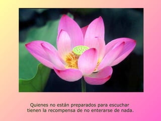 Quienes no están preparados para escuchar
tienen la recompensa de no enterarse de nada.
 