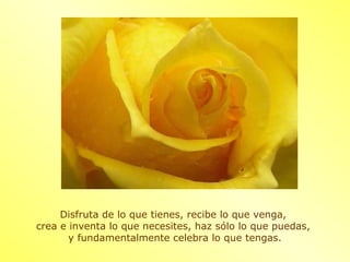 Disfruta de lo que tienes, recibe lo que venga,
crea e inventa lo que necesites, haz sólo lo que puedas,
       y fundamentalmente celebra lo que tengas.
 