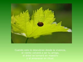 Cuando esto lo descubras desde la vivencia,
     el viento volverá a ser tu amigo,
      el árbol se tornará en maestro
          y el amanecer en ritual.
 