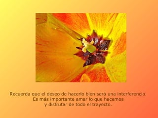 Recuerda que el deseo de hacerlo bien será una interferencia.
Es más importante amar lo que hacemos
y disfrutar de todo el trayecto.
 