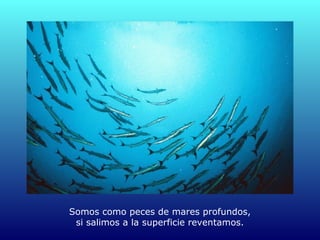 Somos como peces de mares profundos,
si salimos a la superficie reventamos.
 