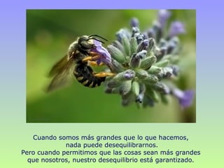 Cuando somos más grandes que lo que hacemos,
nada puede desequilibrarnos.
Pero cuando permitimos que las cosas sean más grandes
que nosotros, nuestro desequilibrio está garantizado.
 