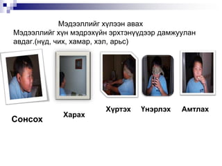                       Мэдээллийг хүлээн авахМэдээллийг хүн мэдрэхүйн эрхтэнүүдээр дамжуулан авдаг.(нүд, чих, хамар, хэл, арьс)ХүртэхҮнэрлэхАмтлахХарахСонсох