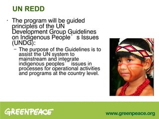 UN REDD The program will be guided principles of the UN Development Group Guidelines on Indigenous People’s Issues (UNDG):  The purpose of the Guidelines is to assist the UN system to mainstream and integrate indigenous peoples’ issues in processes for operational activities and programs at the country level. 