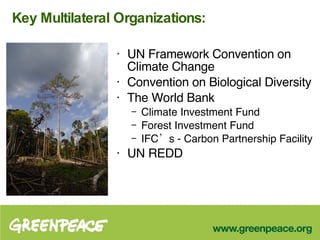 Key Multilateral Organizations: UN Framework Convention on Climate Change  Convention on Biological Diversity The World Bank Climate Investment Fund Forest Investment Fund IFC’s - Carbon Partnership Facility UN REDD 