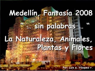 Medellín, Fantasía 2008 “ …  sin palabras … “  La Naturaleza, Animales, Plantas y Flores Por: Luis e. Vásquez r. 