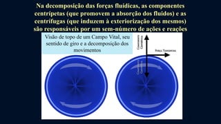 Na decomposição das forças fluídicas, as componentes
centrípetas (que promovem a absorção dos fluidos) e as
centrífugas (que induzem à exteriorização dos mesmos)
são responsáveis por um sem-número de ações e reações
magnéticas.Visão de topo de um Campo Vital, seu
sentido de giro e a decomposição dos
movimentos
11
 