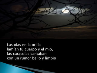 Las olas en la orillalamían tu cuerpo y el mio,las caracolas cantabancon un rumor bello y limpio