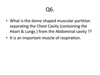 Q6.
• What is the dome shaped muscular partition
separating the Chest Cavity (containing the
Heart & Lungs ) from the Abdominal cavity ??
• It is an important muscle of respiration.
 
