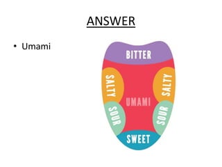 ANSWER
• Umami
 