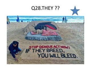 Q28.THEY ??
 