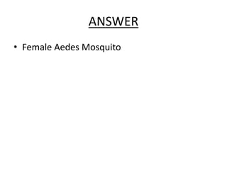 ANSWER
• Female Aedes Mosquito
 
