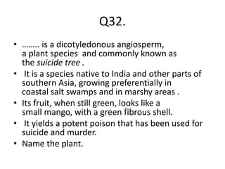 Q32.
• …….. is a dicotyledonous angiosperm,
a plant species and commonly known as
the suicide tree .
• It is a species native to India and other parts of
southern Asia, growing preferentially in
coastal salt swamps and in marshy areas .
• Its fruit, when still green, looks like a
small mango, with a green fibrous shell.
• It yields a potent poison that has been used for
suicide and murder.
• Name the plant.
 