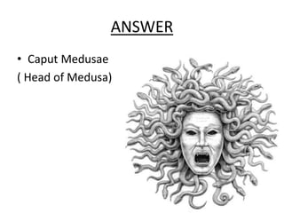 ANSWER
• Caput Medusae
( Head of Medusa)
 