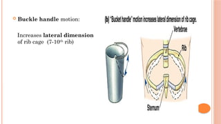 Buckled Rib anesthesisa and airway physiology anesthesia | PPTX