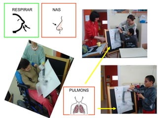 RESPIRAR NAS PULMONS 