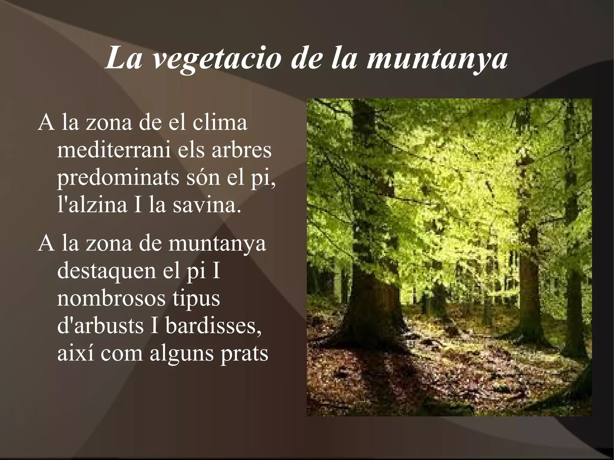 Els hiverns son menys freds que en el clima continental.Les pluges son escasses. 