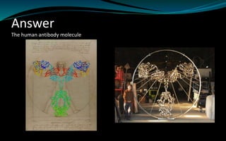 Answer
The human antibody molecule
 