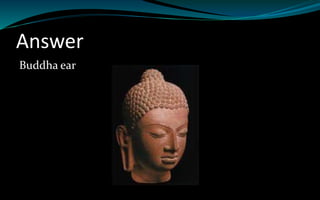 Answer
Buddha ear
 