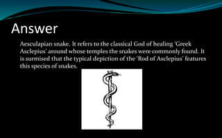 Answer
Aesculapian snake. It refers to the classical God of healing ‘Greek
Asclepius’ around whose temples the snakes were commonly found. It
is surmised that the typical depiction of the ‘Rod of Asclepius’ features
this species of snakes.
 