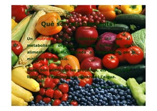 Què són els nutrients?
Un nutrient és una substància útil per al
metabolisme orgànic, que es troba en els
aliments i és incorporada a l'organisme per
mitjà de la digestió.
Nota: Són nutrients les proteïnes, els glícids, els
lípids, les vitamines, els minerals i l'aigua.
Font d’informació: Termcat
3Adrià Pons Boldú - 4rt A
 