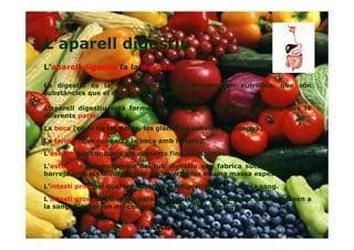 L’aparell digestiu
L’aparell digestiu fa la digestió.
La digestió és la transformació dels aliments en nutrients, que són
substàncies que el nostre cos pot utilitzar.
L’aparell digestiu està format per un tub de 10 metres de llarg que té
diferents parts:
La boca (on hi ha les dents, les glàndules salivals i la llengua).
La faringe que connecta la boca amb l’esòfag.
L’esòfag que condueix els aliments fins a l’estómac.
L’estómac: eixamplament del tub digestiu que fabrica sucs gàstrics i els
barreja amb els aliments fins a convertir-los en una massa espessa.
L’intestí prim pel qual les substàncies digestives passen a la sang.
L’intestí gros: és on van a parar les substàncies digestives que no passen a
la sang. S’expulsen del cos per l’anus en forma de femta.
8Adrià Pons Boldú - 4rt A
 