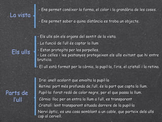 La vista - Ens permet conéixer la forma, el color i la grandària de les coses. - Ens permet saber a quina distància es troba un objecte. Els ulls - Els ulls són els organs del sentit de la vista. - Estan protegits per les parpelles. - Les celles i les pestanyes protegeixen els ulls evitant que hi entre bruticia. - El ull està format per la còrnia, la pupil·la, l’iris, el cristalí i la retina. - La funció de l’ull és captar la llum Parts de  l’ull Iris: anell acolorit que envolta la pupil·la Retina: part més profunda de l’ull, és la part que capta la llum. Pupil·la: forat redó de color negre, per el que passa la llum. Còrnia: lloc per on entra la llum a l’ull, es transparent Cristalí: lent transparent situada darrere de la pupil·la Nervi òptic, es una cosa semblant a un cable, que parteix dels ulls cap al cervell. 