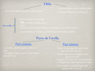 Oïda És el sentit que ens permet captar els sons. Com tenim dues orelles, podem saber de quina direcció ens arriba el so. Les orelles • Tenen una part externa que és l’orella • Són els òrgans del sentit de l’oïda. • Tenen una part interna formada per el timpà, i una cadena d’ossos • La part interna i l’externa estan unides per el conducte auditiu Parts de l’orella Part externa - L’orella o pavelló auditiu: capta els sons. - Conducte auditiu: uneix la part externa  amb la interna Part interna - Timpà: és com una tela molt prima que vibra amb els sons. - Ossets: estàn units al timpà i vibren quan este ho fa. - Caragol: està unita a la cadena d’ossets, i és l’òrgan que capta finalment els sons. - Nervi auditiu: conecta l’òrgan del caragol amb el cervell. 