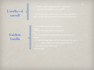 L’orella i el cervell - L’orella capta la informació i l’envia al cervell a través del nervi auditiu - El cervell rep la informació i reconeix de que es tracta, si de música, soroll o la veu d’una persona. Cuidem l’orella - Les orelles han d’estar sempre netes - S’han deixugar deprés de banyar-se - No hem d’usar els bastonets, es pot danyar el timpà - L’otitis és una infecció de l’orella, pot fer que es perda audició si no es cura com cal - Els sons massa forts són perjudicials. 