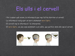 Els ulls i el cervell - Per a saber què veiem, la informació que rep l’ull ha d’arrivar al cervell. - La informació viatja per un nervi anomenat  nervi òptic . - El cervell rep la informació i la interpreta. - El  nervi òptic , es una cosa semblant a un cable, que parteix dels ulls cap al cervell. 
