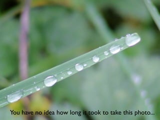 You have no idea how long it took to take this photo...
 