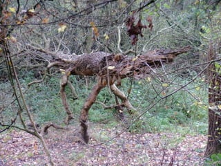 Helping Jess with her Filming :)