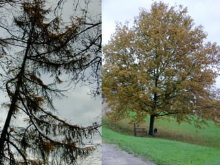 Helping Jess with her Filming :)