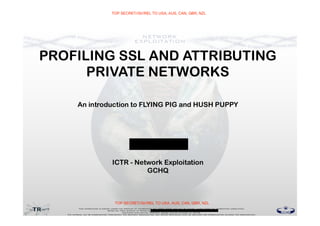 Media 35521 Profil SSL PRIVATE NSA doc 