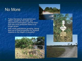No More Today that land is abandoned and fallow, bought by the state and returned to swampland, and the food that was once produced there is no longer grown. With world populations growing, taking land out of food production for dubious reasons is the height of stupidity!! 