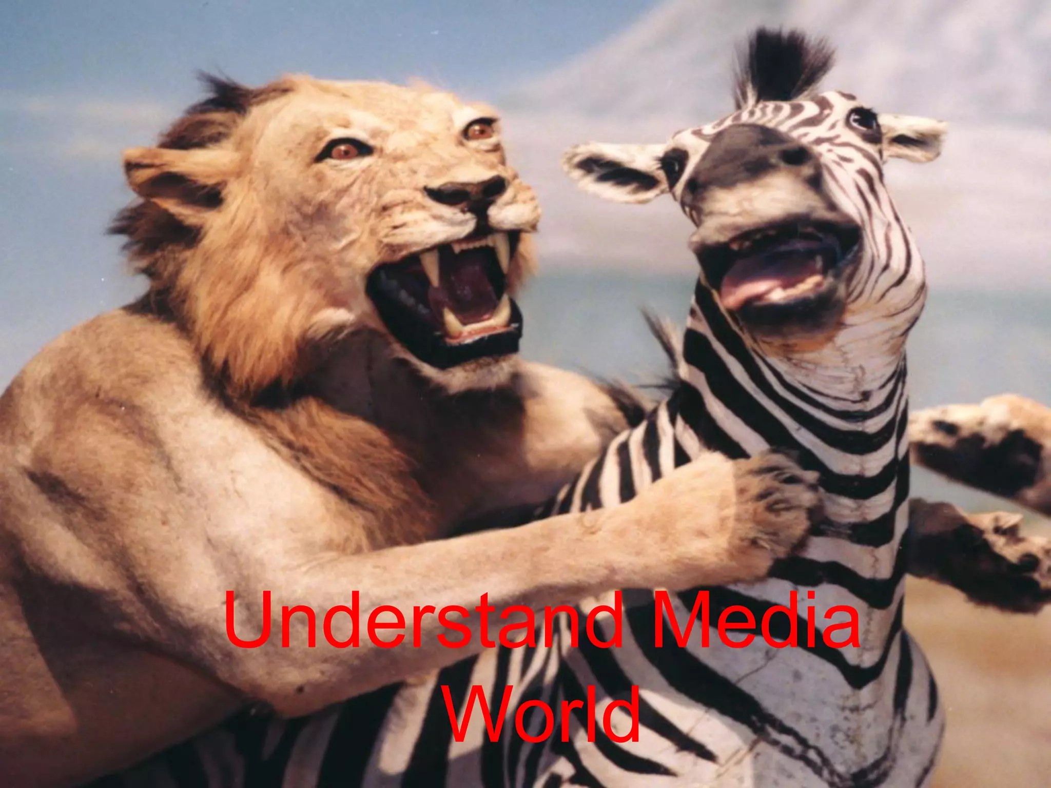 Understand Media World