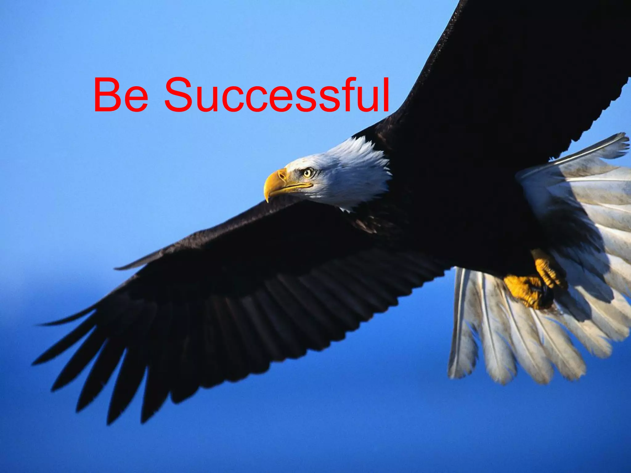 Be Successful