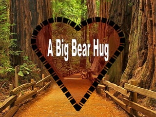 A Big Bear Hug   