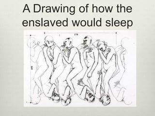 A Drawing of how the
enslaved would sleep
 