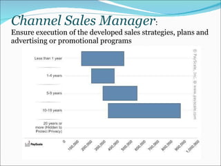 Channel Sales Manager :  Ensure execution of the developed sales strategies, plans and advertising or promotional programs 