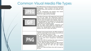 Common Visual Media File Types
 