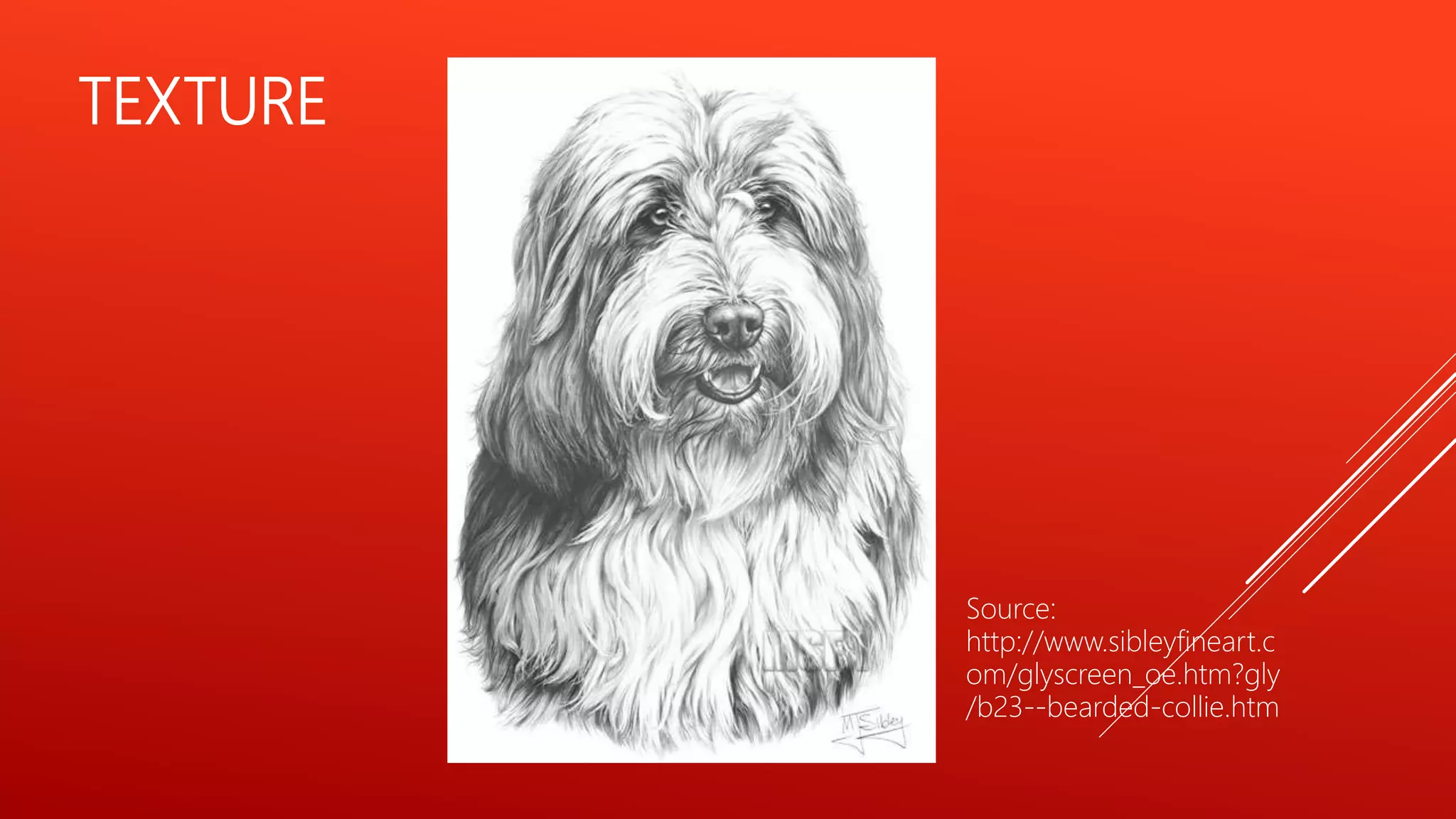TEXTURE
Source:
http://www.sibleyfineart.c
om/glyscreen_oe.htm?gly
/b23--bearded-collie.htm
 