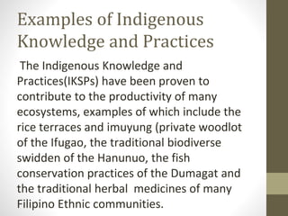 Examples of Indigenous
Knowledge and Practices
The Indigenous Knowledge and
Practices(IKSPs) have been proven to
contribute to the productivity of many
ecosystems, examples of which include the
rice terraces and imuyung (private woodlot
of the Ifugao, the traditional biodiverse
swidden of the Hanunuo, the fish
conservation practices of the Dumagat and
the traditional herbal medicines of many
Filipino Ethnic communities.
 