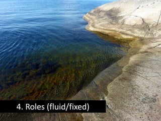 4. Roles (fluid/fixed)
 
