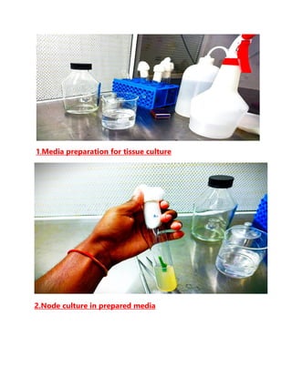 1.Media preparation for tissue culture
2.Node culture in prepared media
 
