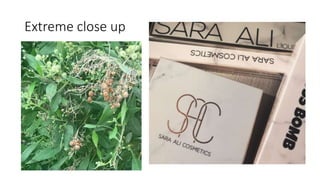 Extreme close up
 